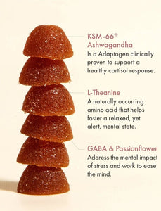 Calm & Collected - Stress Support Gummies - Saratoga Botanicals, LLC